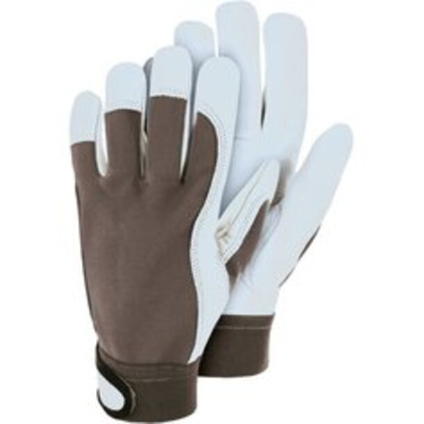 TR220, Anoa, Leder-Handschuh mit Spandex-Rücken, SB-Karte
