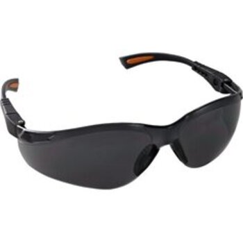 BG54, Schutzbrille