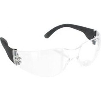 BG53, Allzweckbrille